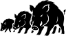 Jabali Sounder